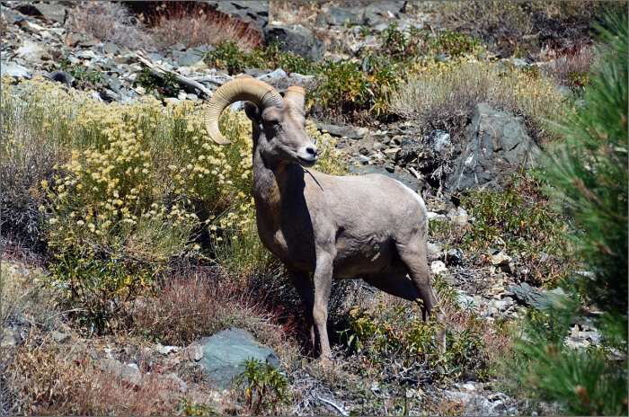 DSC_4151.JPG