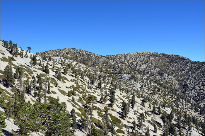 DSC_3985.JPG