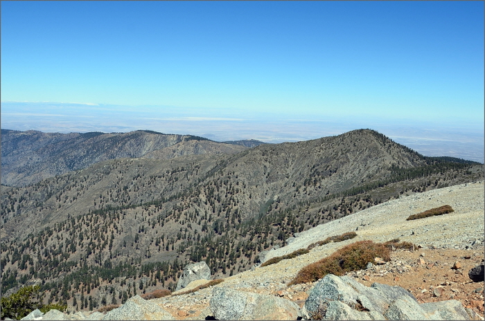 DSC_4081.JPG