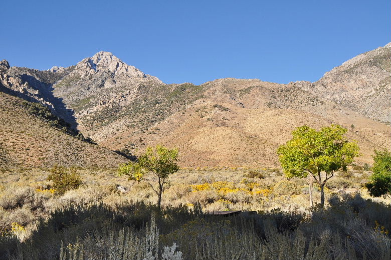 bishop102011 003.JPG