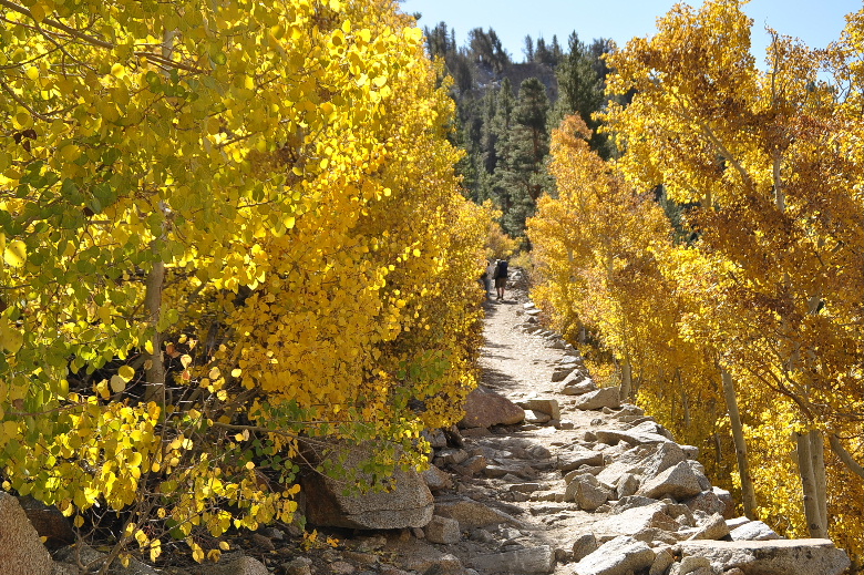 bishop102011 044.JPG