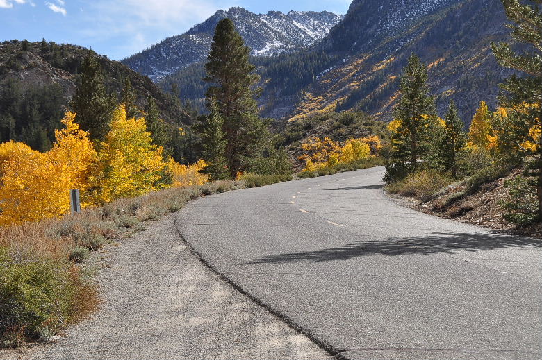 bishop102011 144.JPG