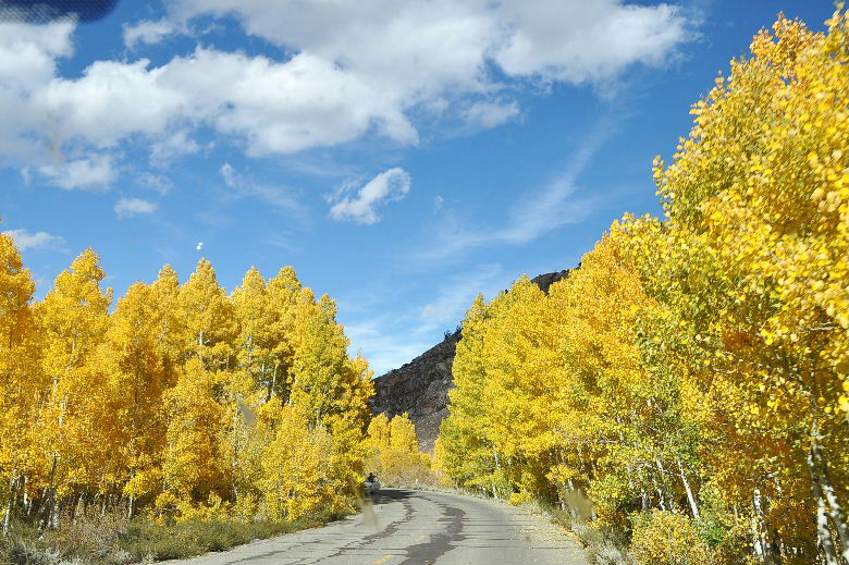 bishop102011 148.JPG