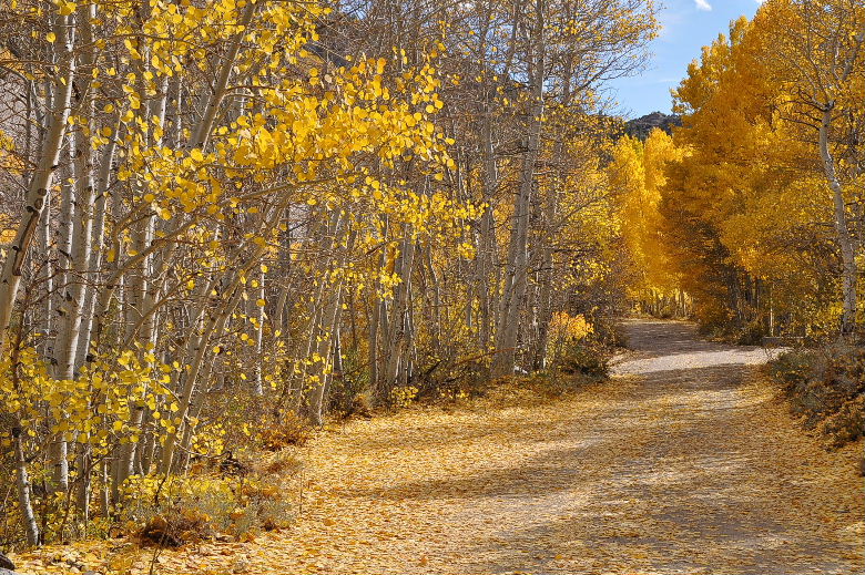 bishop102011 151.JPG