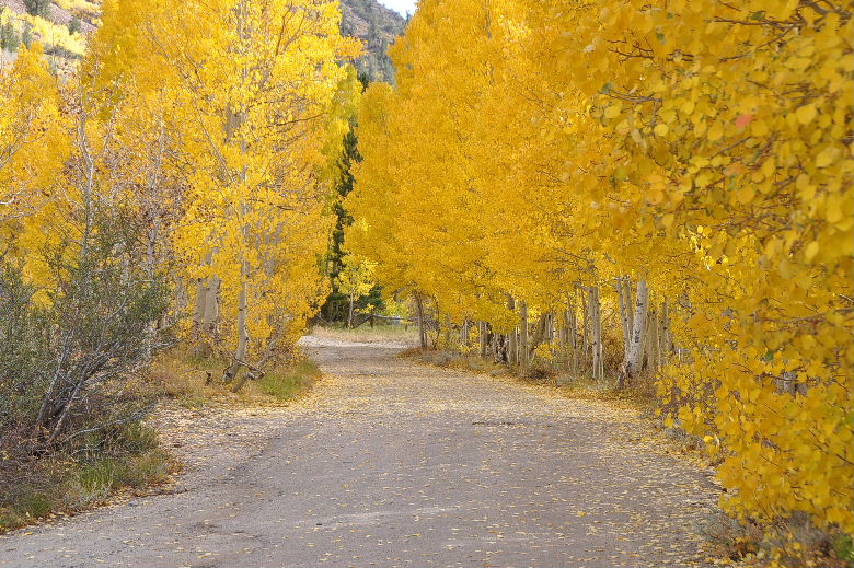 bishop102011 164.JPG