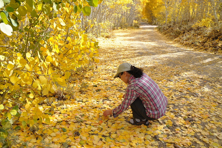 bishop102011 186.JPG