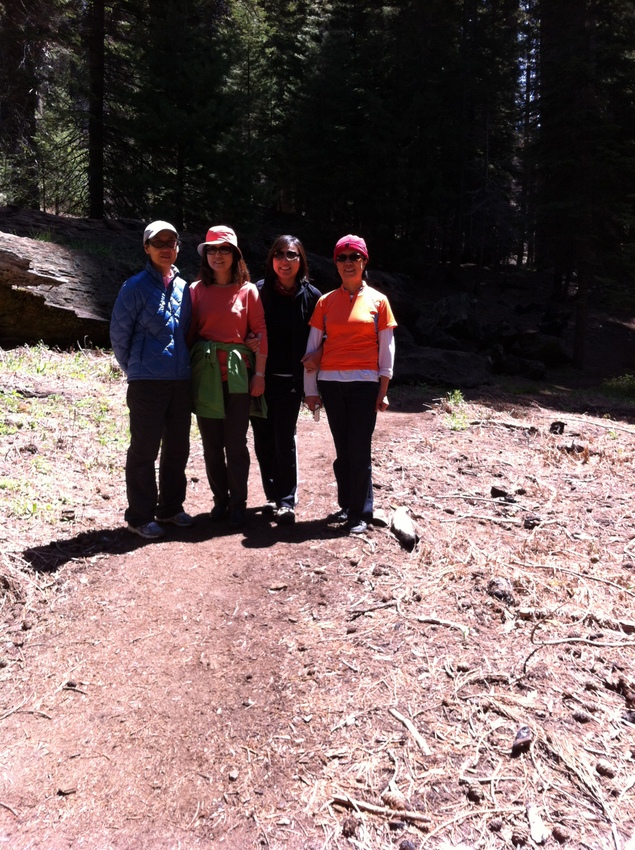 Sequoia NP 173-001.jpg