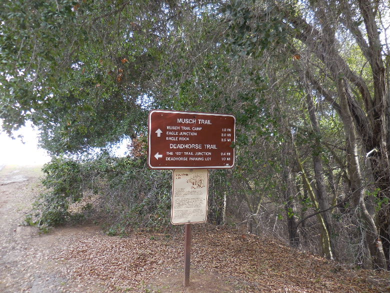 temescalpeak1214 018.JPG