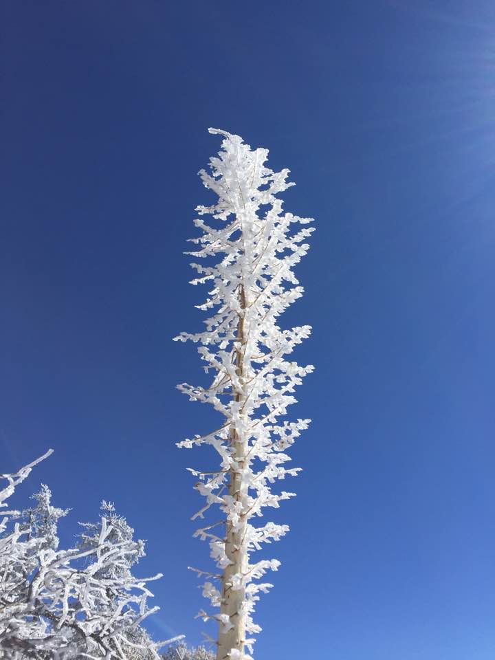 KakaoTalk_20180304_181703218.jpg