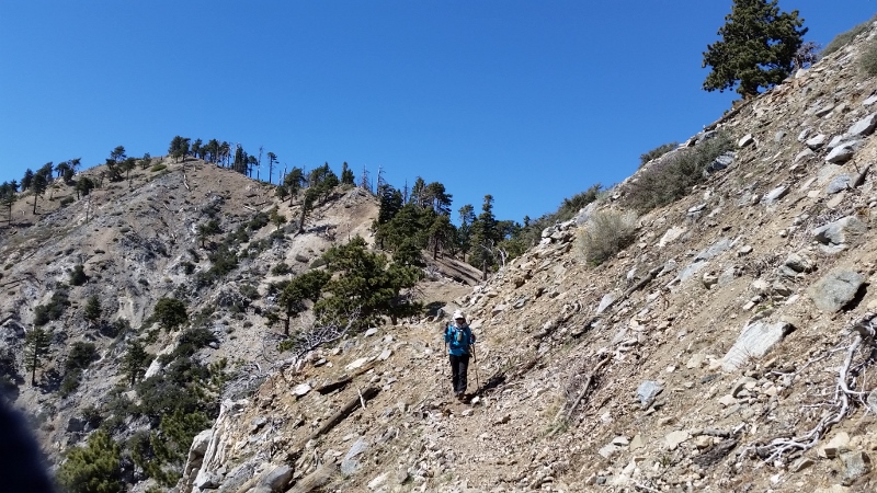 20150329_142752 (800x450).jpg