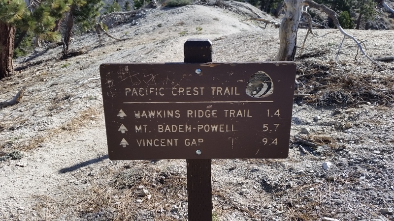20150329_103801 (800x450).jpg
