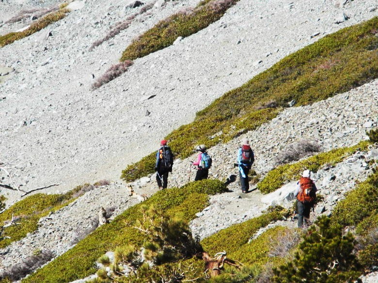 Baldy112012 074.JPG