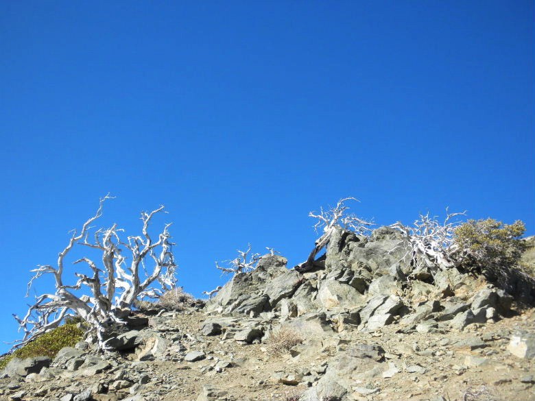 Baldy112012 066.JPG