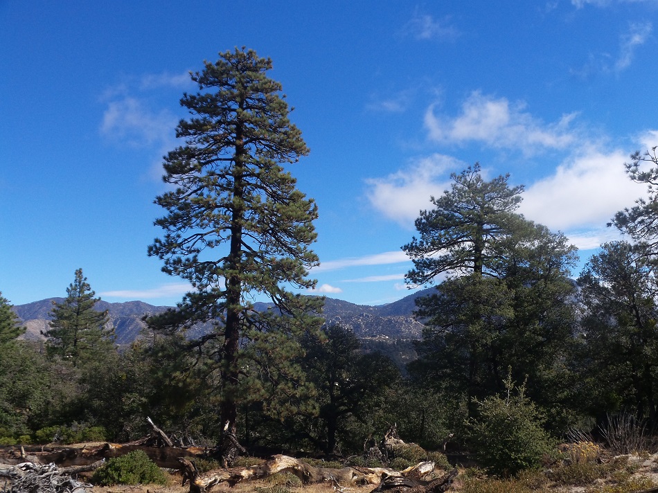 20171105_104636.jpg