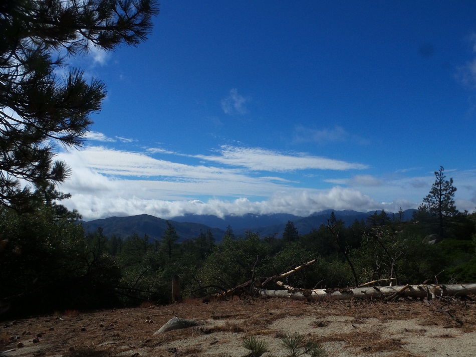 N9.jpg