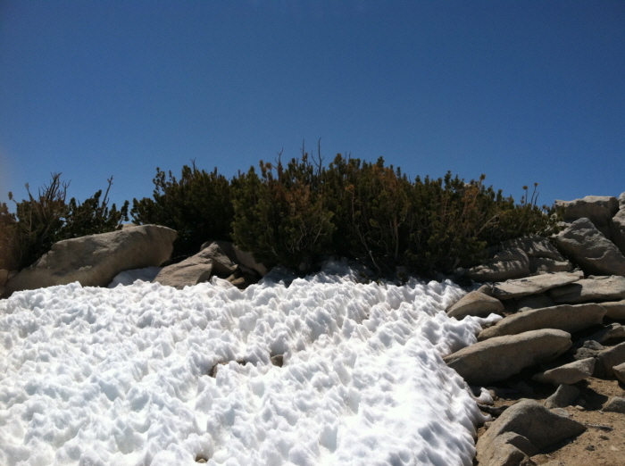 San Gorgonio peak 046.jpg
