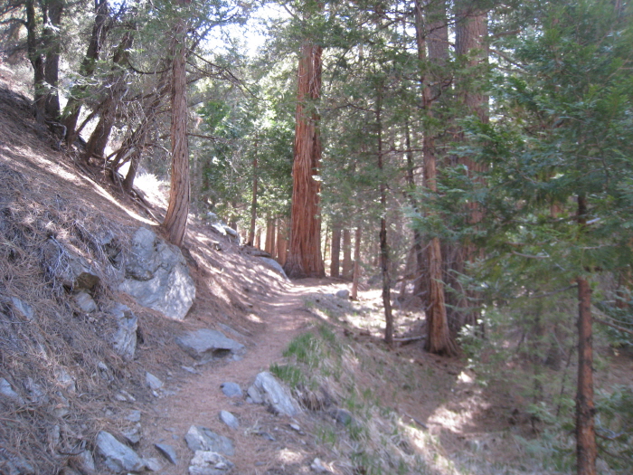 San Gorgonio peak 018.jpg