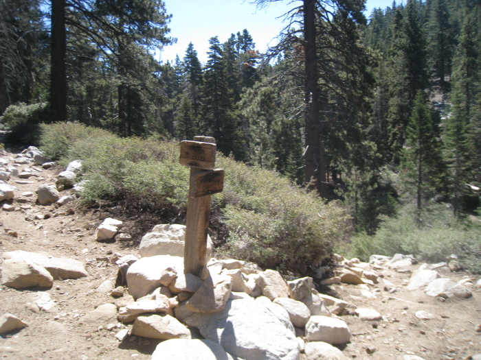 San Gorgonio peak 022.jpg