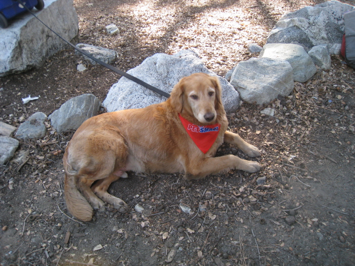 San Gorgonio peak 038.jpg