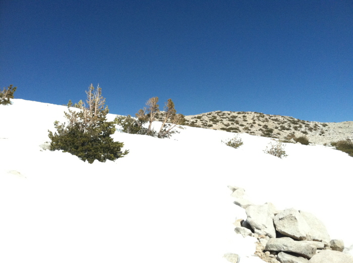 San Gorgonio peak 049.jpg