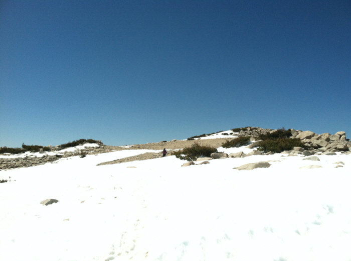 San Gorgonio peak 045.jpg