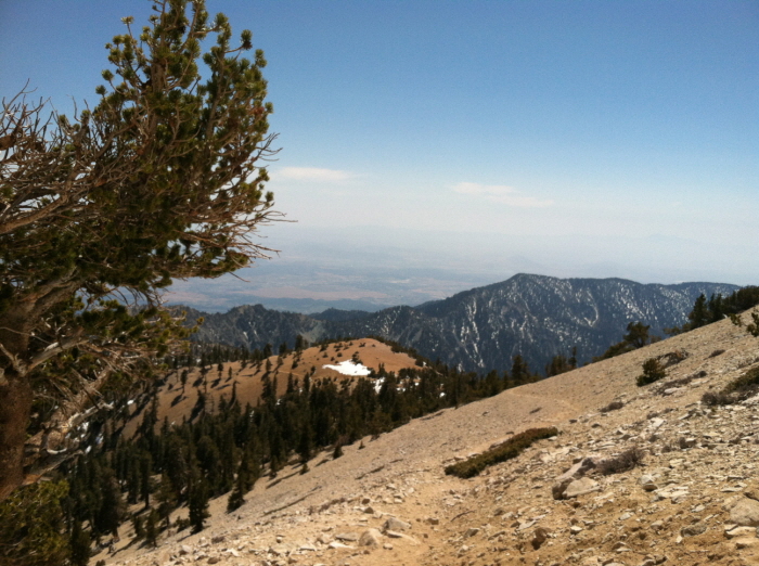 San Gorgonio peak 051.jpg