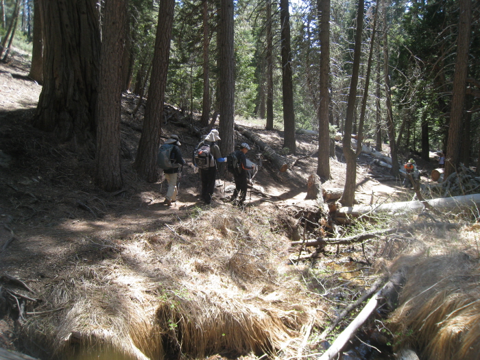 San Gorgonio peak 026.jpg