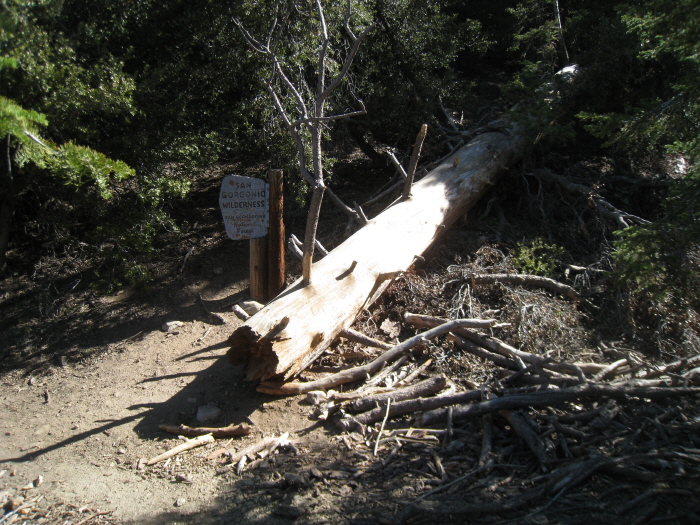 San Gorgonio peak 016.jpg