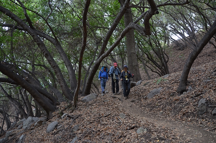 DSC_0082.JPG