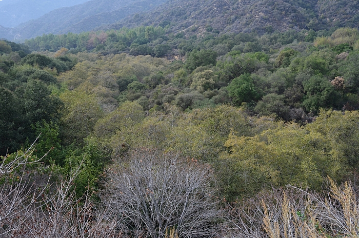 DSC_0194.JPG