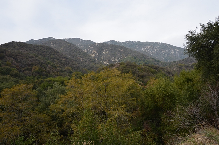 DSC_0179.JPG