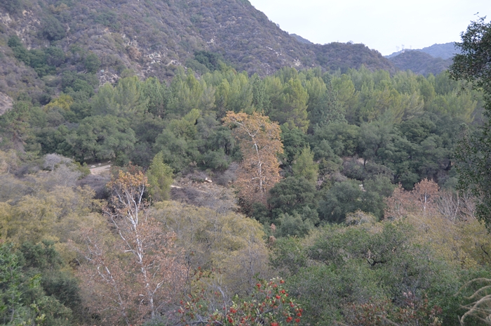 DSC_0027.JPG