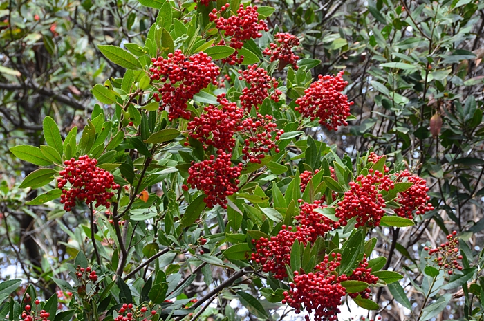 DSC_0167.JPG