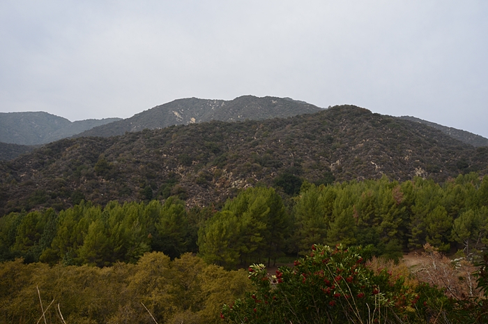 DSC_0215.JPG
