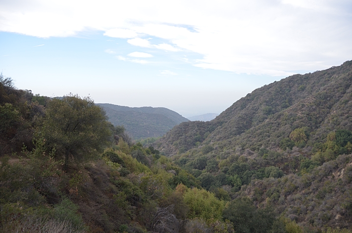 DSC_0059.JPG