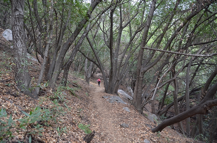 DSC_0079.JPG