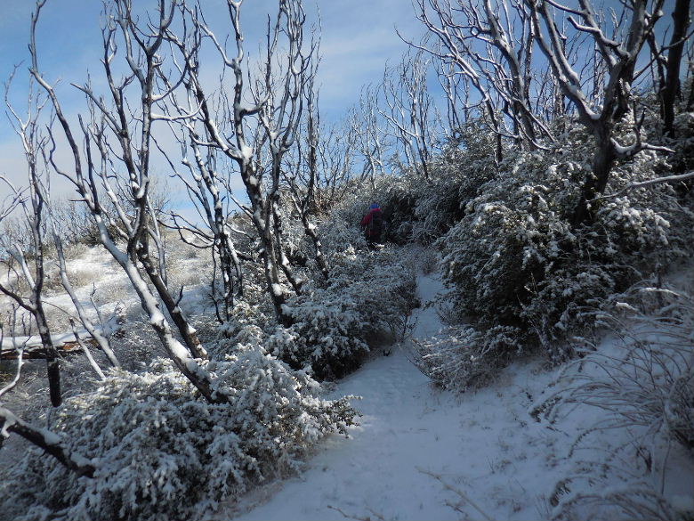 mtpacifico1215 035.JPG