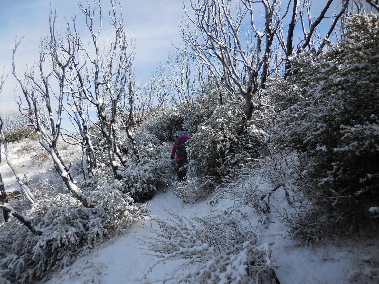 mtpacifico1215 034.JPG