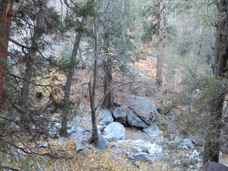 ontario pick 002.jpg