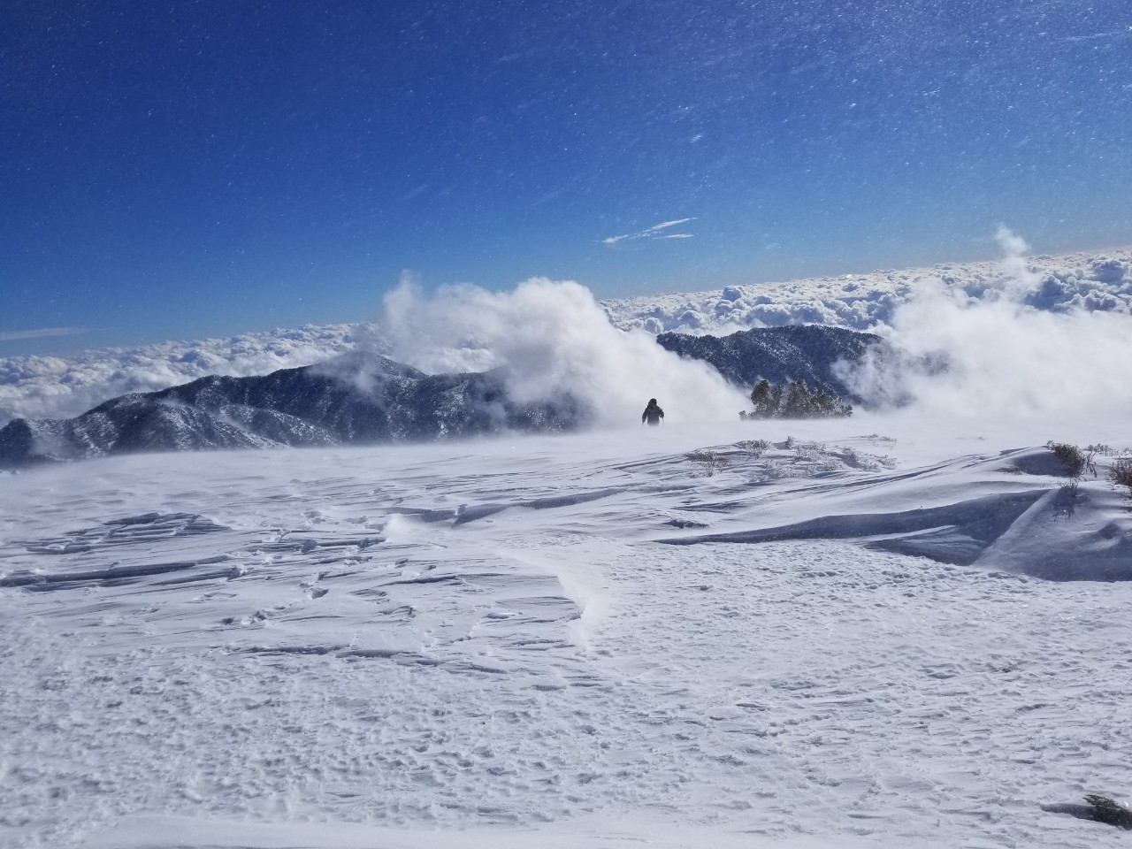 KakaoTalk_20190106_170431533.jpg