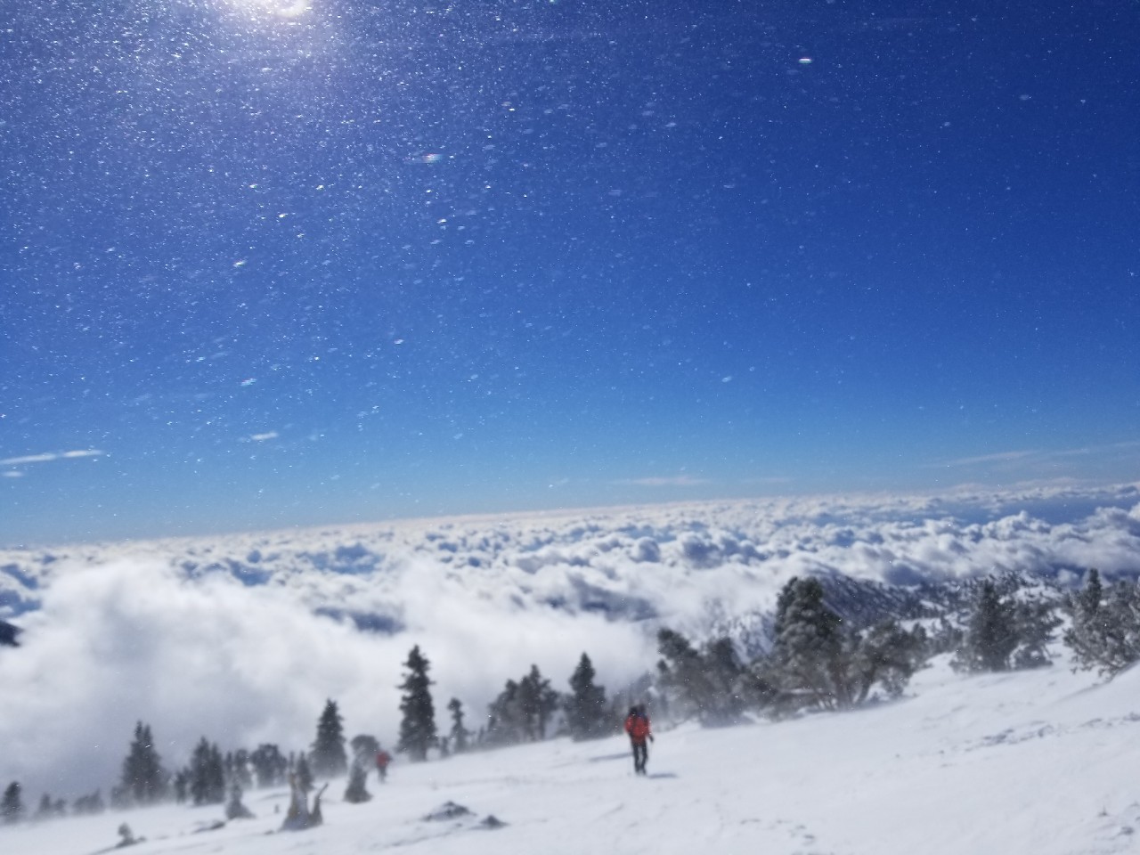 KakaoTalk_20190106_170438563.jpg