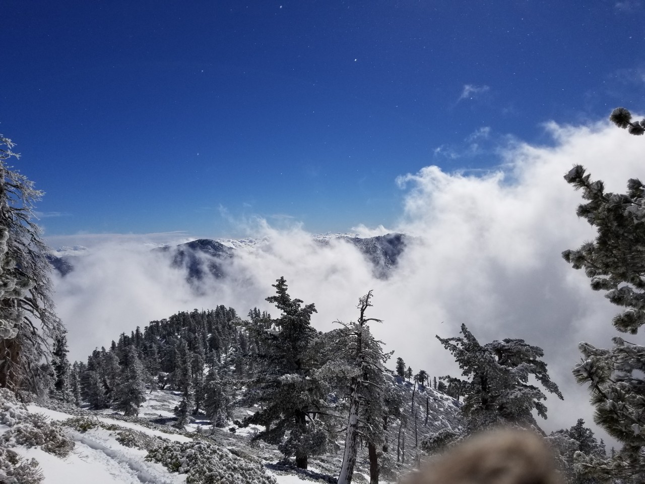 KakaoTalk_20190106_170443305.jpg