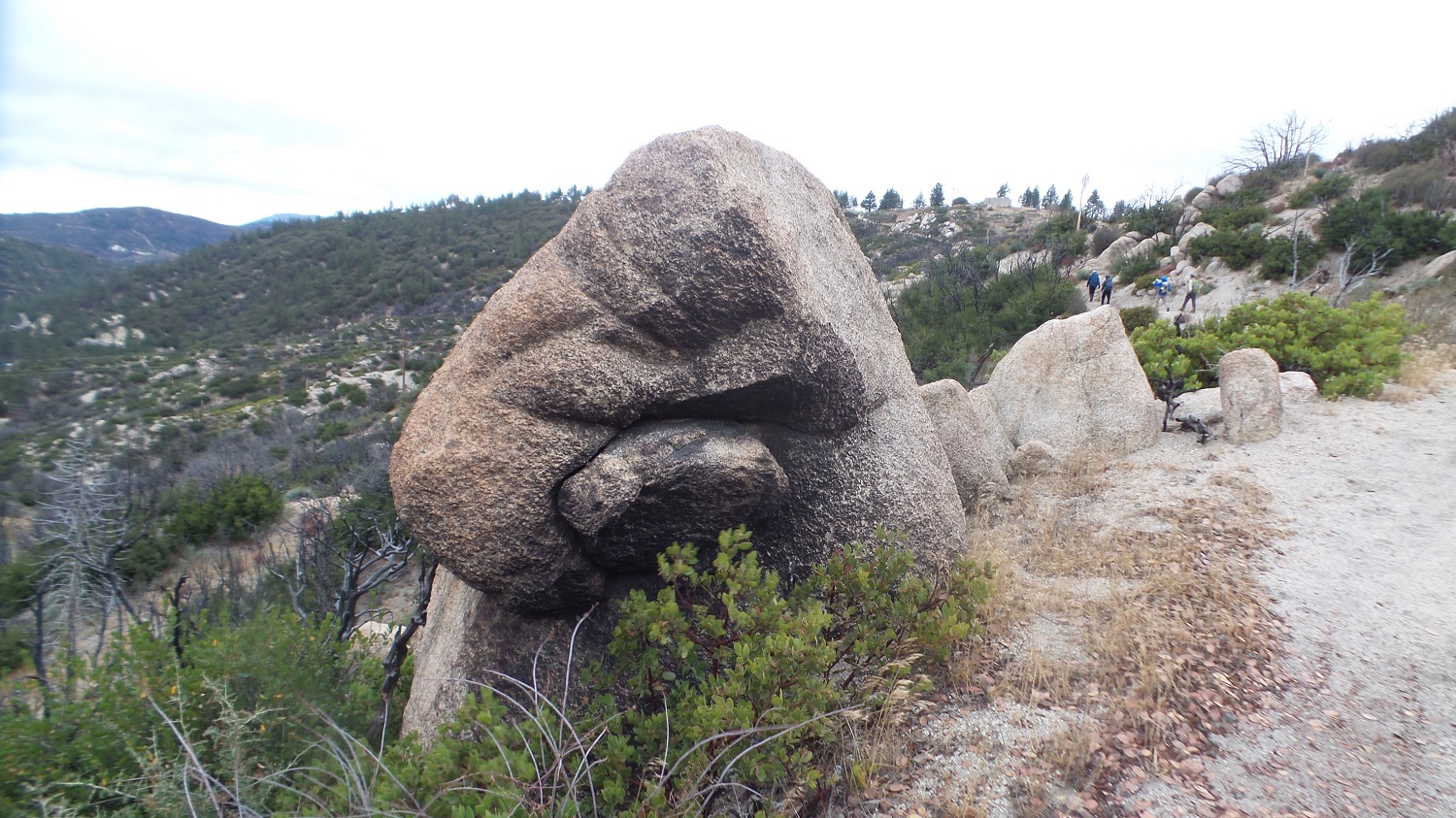 20161030_093737.jpg