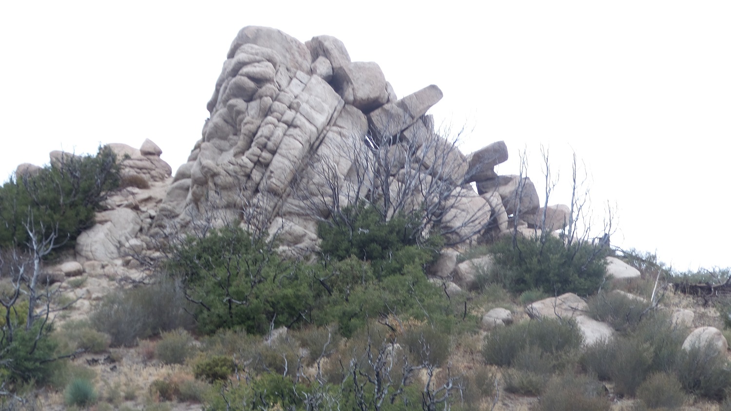 20161030_093751.jpg