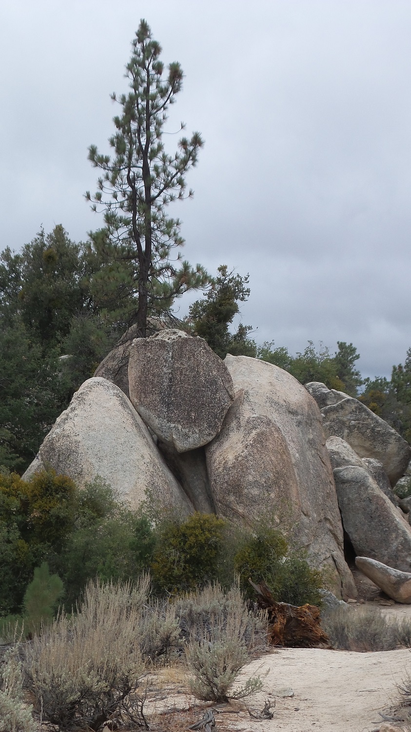 20161030_104256.jpg
