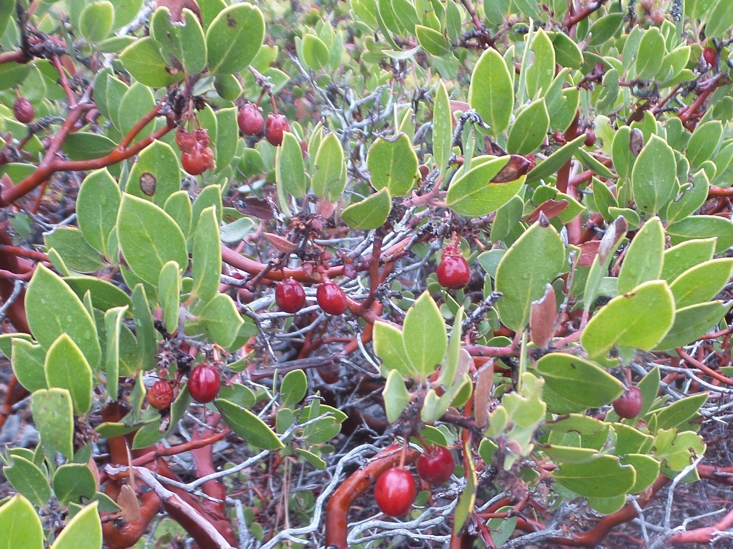 20161030_111715.jpg