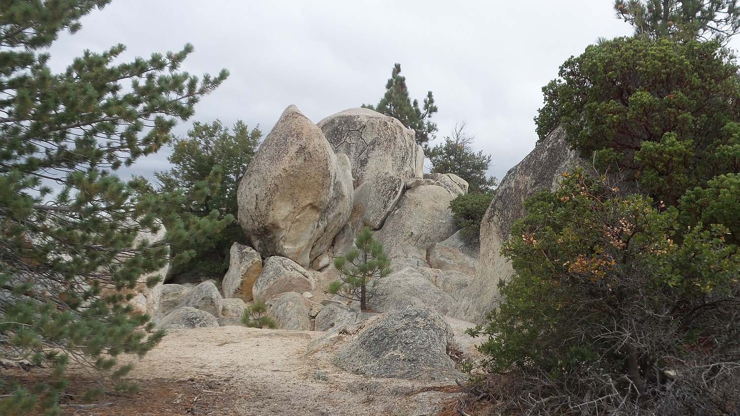 20161030_110414.jpg