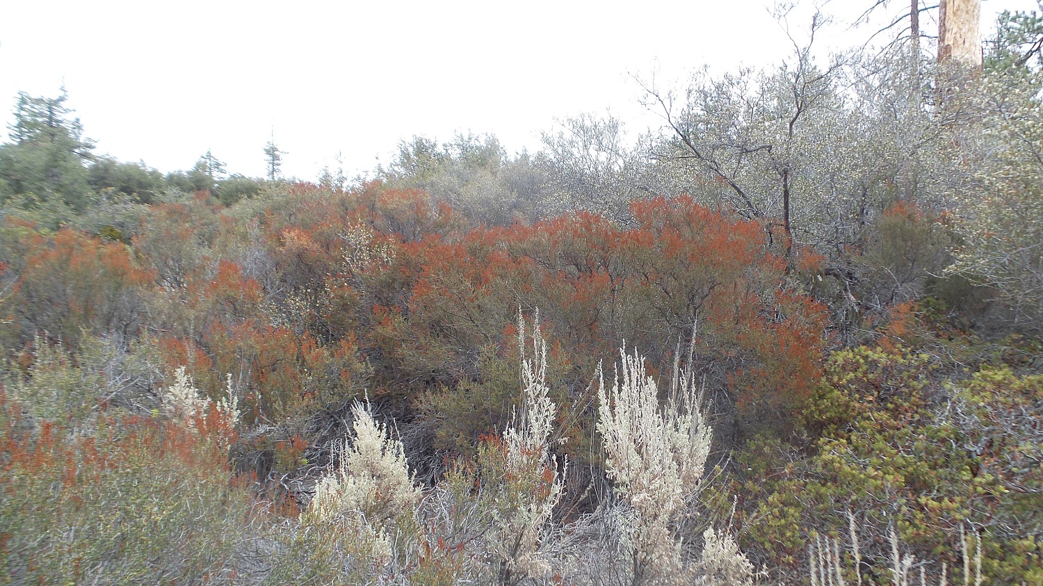 20161030_103559.jpg