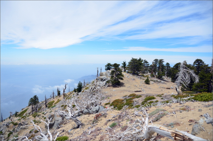cucamonga peak 061.jpg