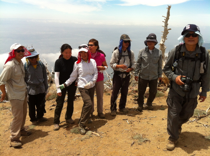 cucamonga peak 021.jpg